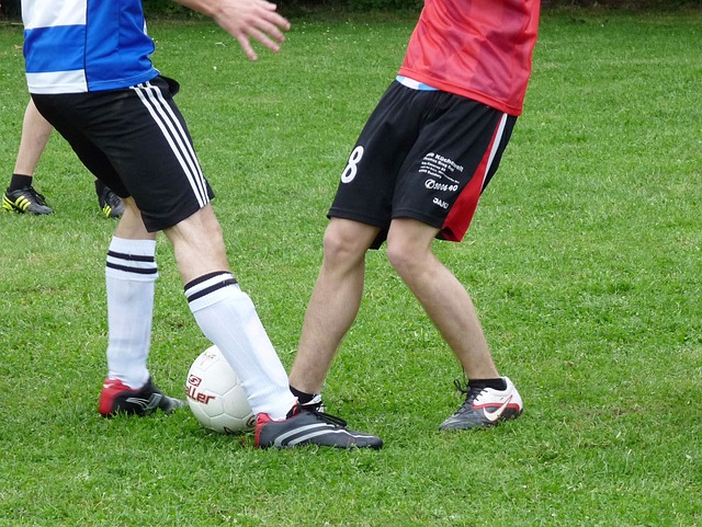 随着全球气 随着全球气