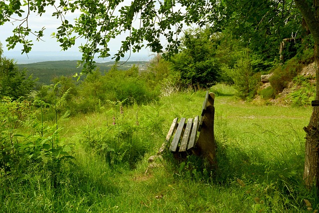 得的机会 得的机会