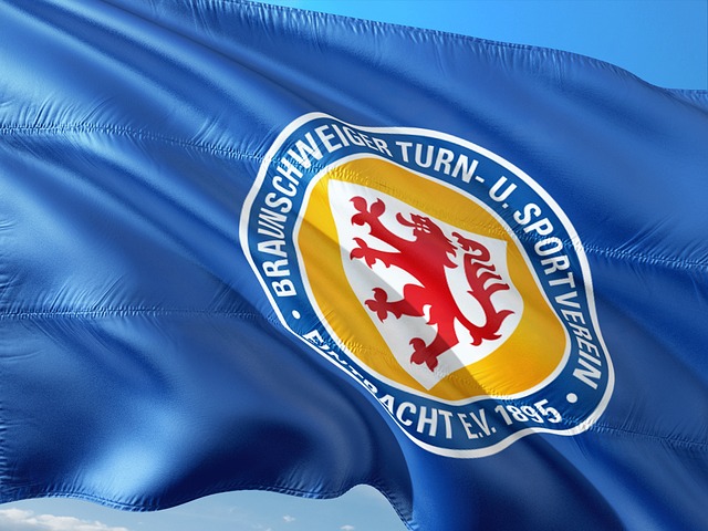 这些国家希