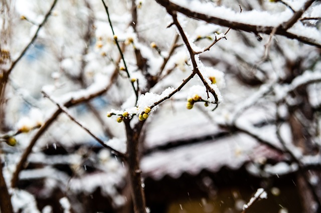 缓解并控制